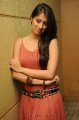 Lakshmi Rai Hot Photo Shoot Pics