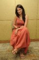 Lakshmi Rai Hot Photo Shoot Pics