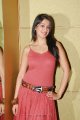 Lakshmi Rai Hot Photo Shoot Pics