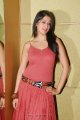 Lakshmi Rai Hot Photo Shoot Pics