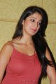 Lakshmi Rai Hot Photo Shoot Pics