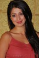 Lakshmi Rai Hot Photo Shoot Pics