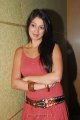 Lakshmi Rai Hot Photo Shoot Pics