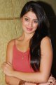 Lakshmi Rai Hot Photo Shoot Pics