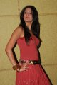 Lakshmi Rai Hot Photo Shoot Pics