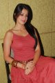 Lakshmi Rai Hot Photo Shoot Pics