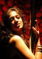 Telugu Actress Lakshmi Roy Hot Pics