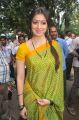 Tamil Actress Lakshmi Rai in Green Saree Beautiful Photos