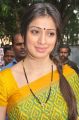 Tamil Actress Lakshmi Rai in Green Saree Beautiful Photos