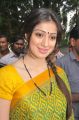 Tamil Actress Lakshmi Rai in Green Saree Beautiful Photos