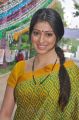 Tamil Actress Lakshmi Rai in Green Saree Beautiful Photos