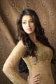 Actress Lakshmi Rai Latest Photoshoot Images