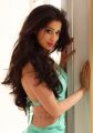 Actress Lakshmi Rai Hot Photoshoot Images