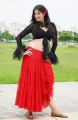 Actress Lakshmi Rai Hot Pictures in Adhinayakudu