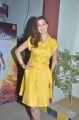 Actress Raai Laxmi Photos @ Motta Shiva Ketta Shiva Press Meet
