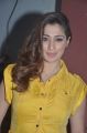 Actress Lakshmi Rai Photos @ Motta Siva Ketta Siva Press Meet