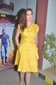 Tamil Actress Lakshmi Rai Photos @ Motta Siva Ketta Siva Press Meet