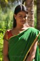 Cycle Company Movie Actress Lakshmika in Saree Photos