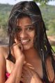 Tamil Actress Lakshmika Hot Photos in Cycle Company Movie