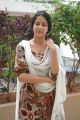 Telugu Actress Lavanya Tripathi Beautiful Stills