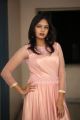 Actress Lavanya Chowdary Photos @ Undiporaadhey Trailer Launch