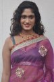 Tamil Actress Lavanya Hot Saree Stills
