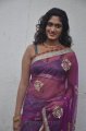 Lavanya Hot Pics in Transparent Saree