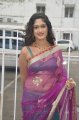 Lavanya Hot Pics in Transparent Saree