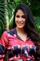 Actress Lavanya Tripathi New Images @ A1 Express Movie Interview