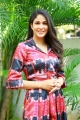 Actress Lavanya Tripathi New Images @ A1 Express Movie Interview