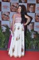 Lavanya Tripathi at ANR Award 2013 Presentation