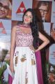 Lavanya Tripathi at ANR Award 2013 Presentation