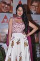 Lavanya Tripathi at ANR Award 2013 Presentation