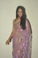Telugu Actress Lavanya Tripathi Hot Photos in Transparent Saree