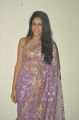 Telugu Actress Lavanya Tripathi Hot Photos in Transparent Saree