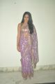 Actress Lavanya Tripathi Hot in Designer Embroidered Saree Photos