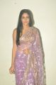 Telugu Actress Lavanya Tripathi Transparent Saree Hot Photos