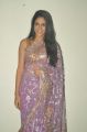 Actress Lavanya Tripathi Hot in Transparent Saree Photos