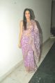 Actress Lavanya Tripathi Hot in Transparent Saree Photos