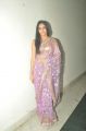 Actress Lavanya Tripathi Hot in Designer Embroidered Saree Photos