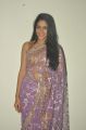 Telugu Actress Lavanya Tripathi Transparent Saree Hot Photos