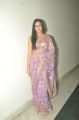 Actress Lavanya Tripathi Hot in Shimmer Faux Georgette Saree Photos