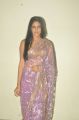 Actress Lavanya Tripathi Hot in Transparent Saree Photos