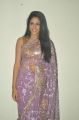 Actress Lavanya Tripathi Hot Stills at Cinema Mahila Awards 2013