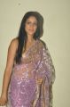 Actress Lavanya Tripathi Hot Stills at Cinema Mahila Awards 2013