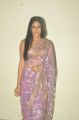 Lavanya Tripathi Hot Saree Stills at Cinemaa Mahila Awards