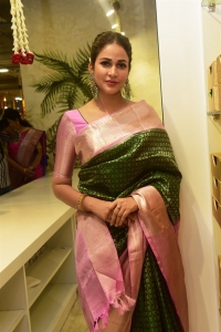 Telugu Actress Lavanya Tripathi Silk Saree Photos