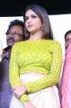 Actress Lavanya Tripathi Hot Photos @ Intelligent Pre Release