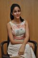 Actress Lavanya Tripathi interview about Bhale Bhale Magadivoi Photos