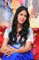 Actress Lavanya Tripathi Interview Photos about Doosukeltha Movie